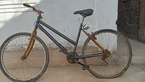 Used Bicycle