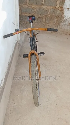 Used Bicycle