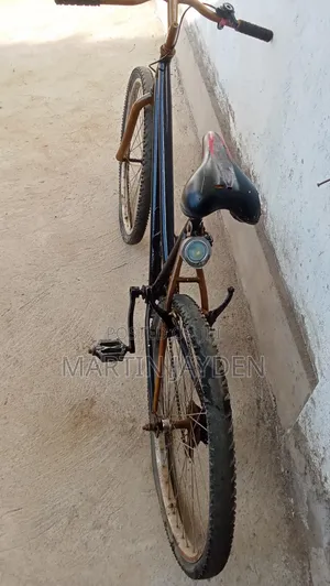 Used Bicycle