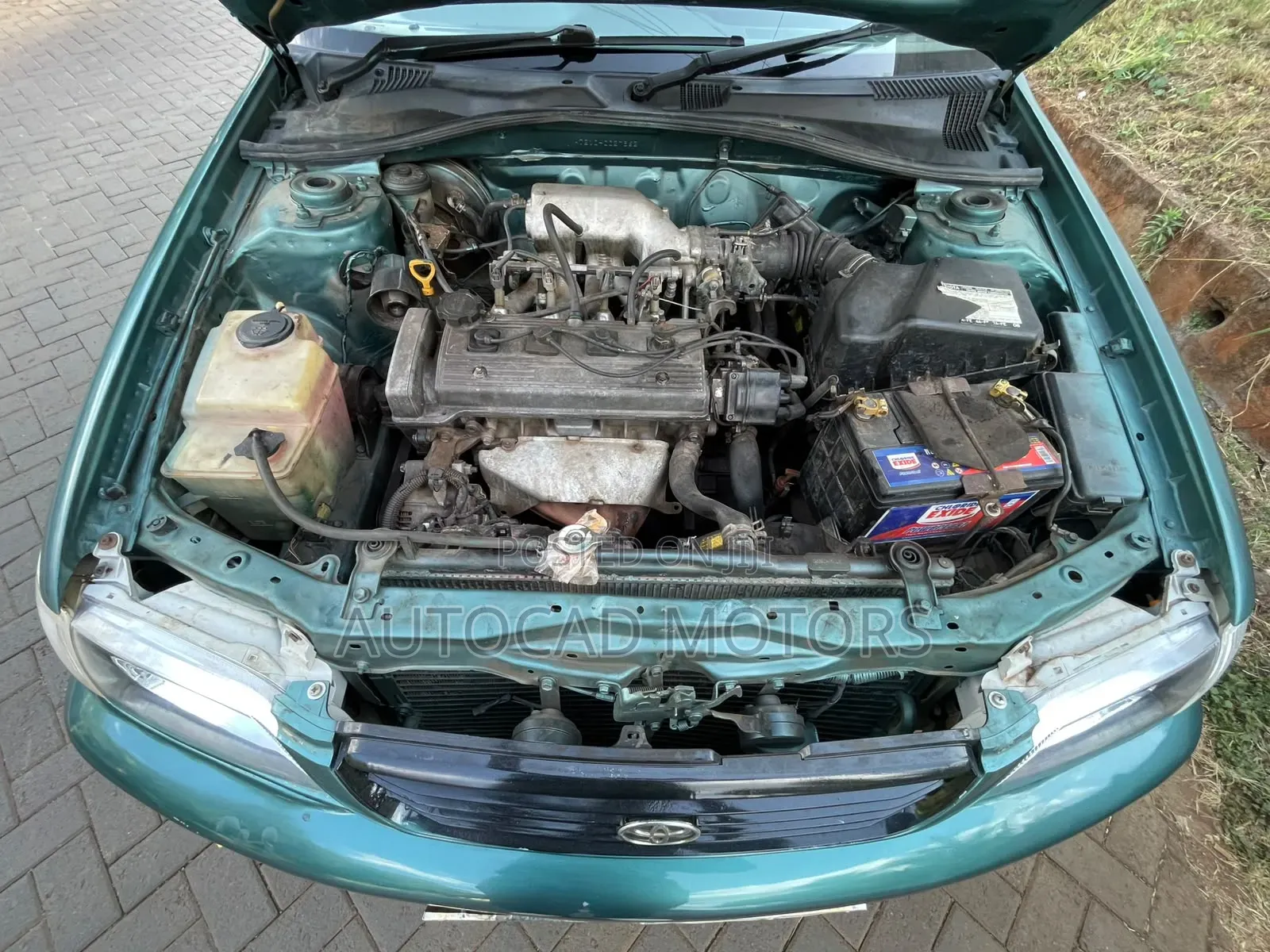 Toyota Premio 2001 Green
