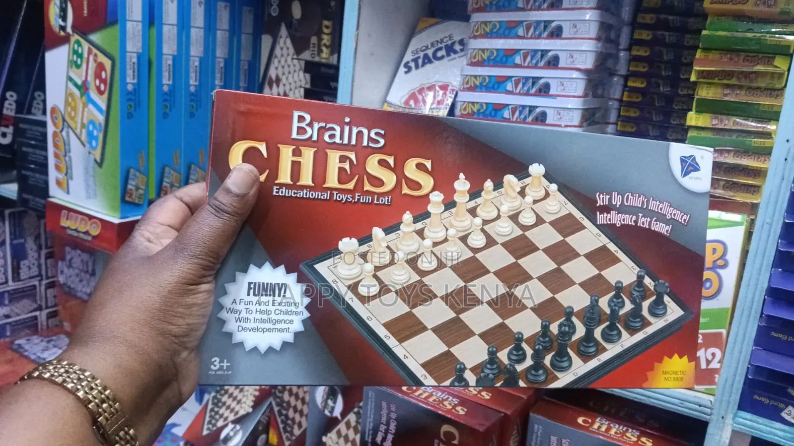 Brains Chess Big Size