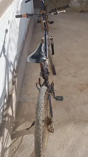 Used Bicycle