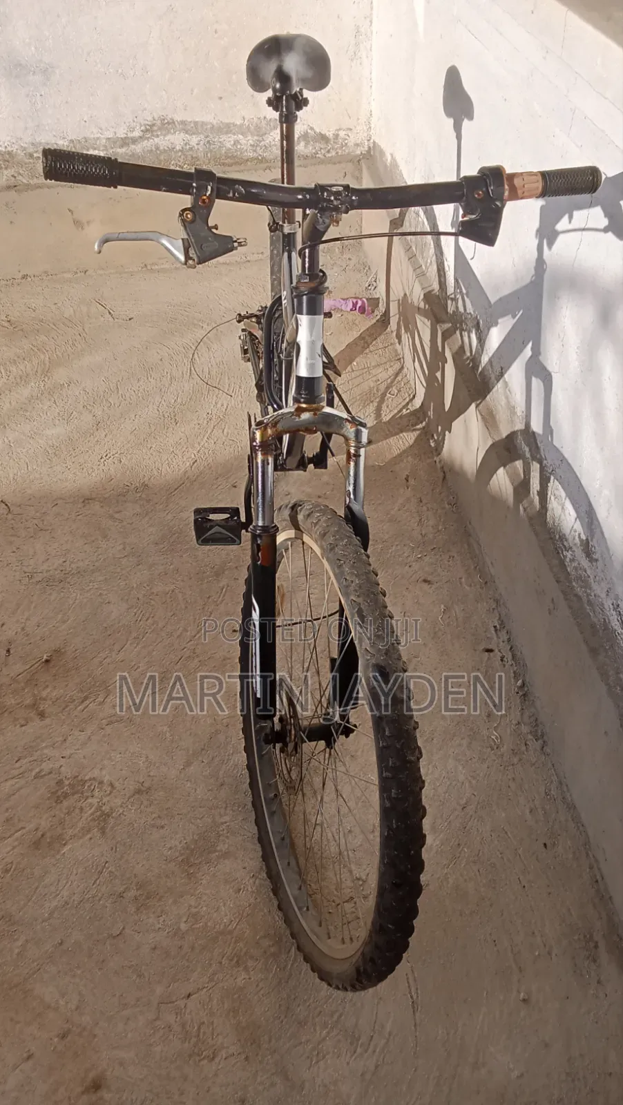 Used Bicycle