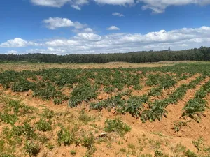 5.5 Acres of Land for Sale in Kuresoi North