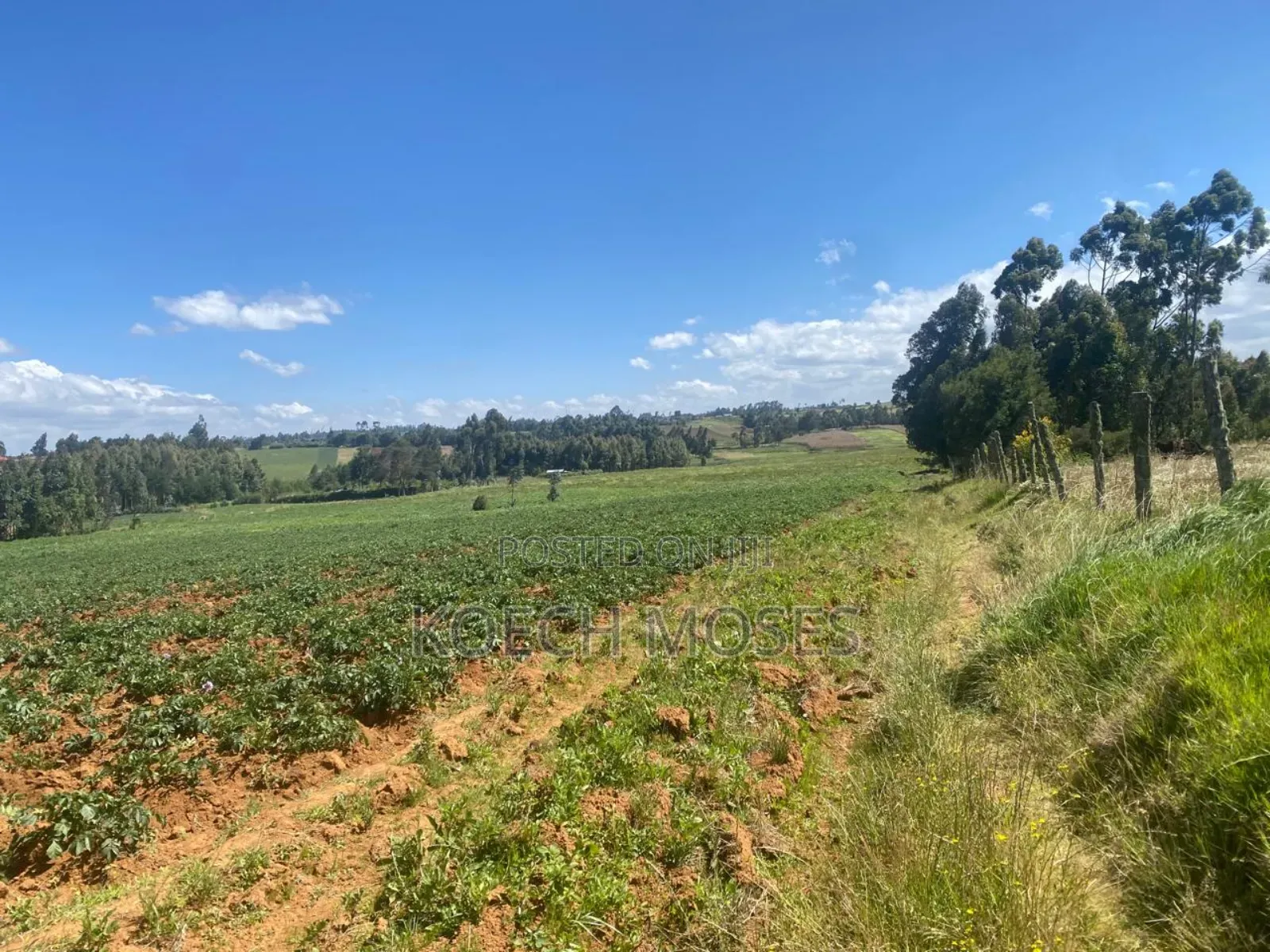 5.5 Acres of Land for Sale in Kuresoi North