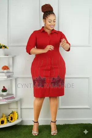 Classic Shirt Dress