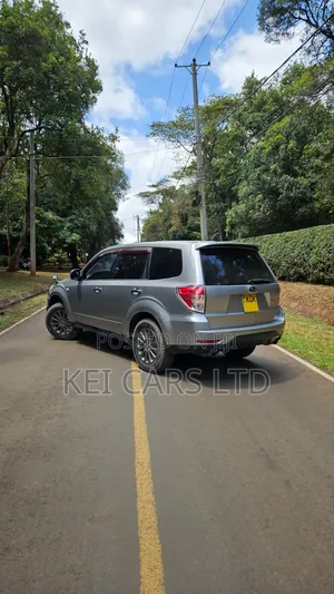 Subaru Forester 2009 Gray