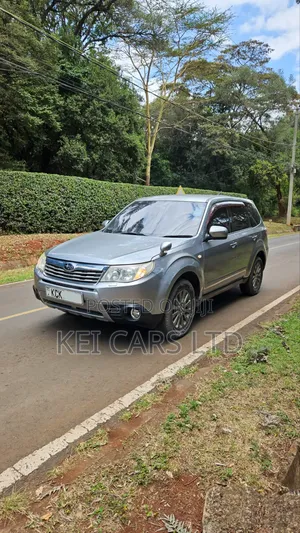 Subaru Forester 2009 Gray