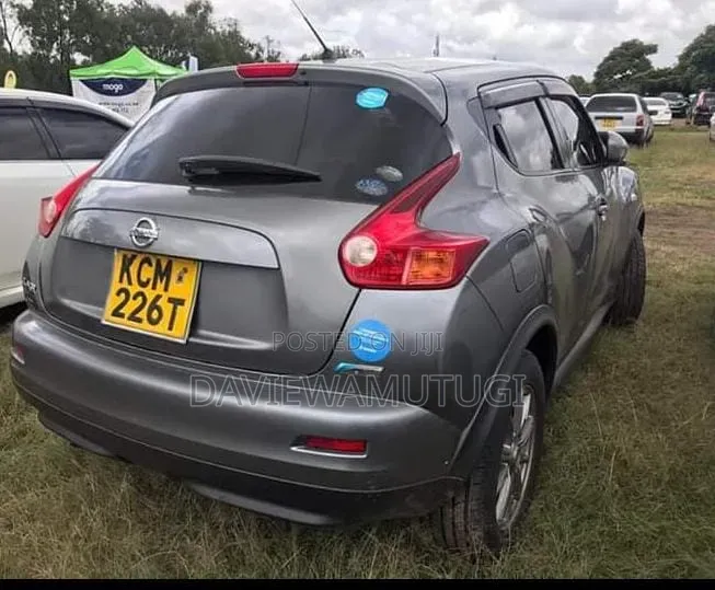 Nissan Juke 2011 Gray