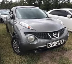 Nissan Juke 2011 Gray