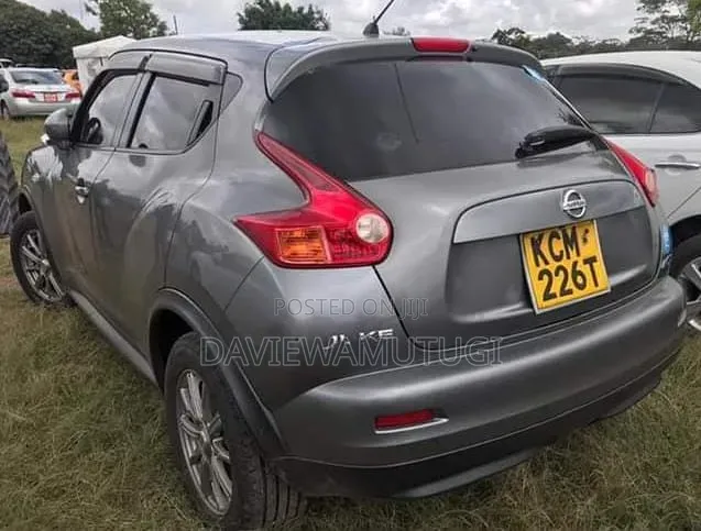 Nissan Juke 2011 Gray
