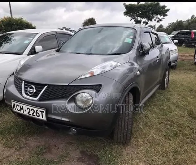 Nissan Juke 2011 Gray