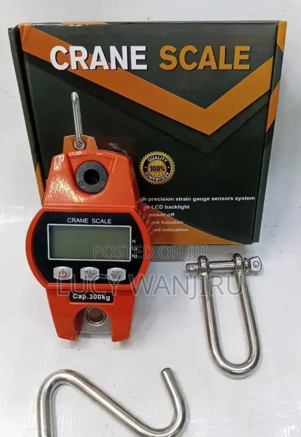 300kg Crane Scale/ Quality Hanging Scale