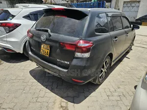 Toyota Corolla Fielder 2019 Black