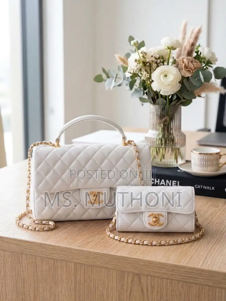 2 in 1 Chanel Coco Handle Bags