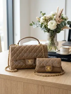 2 in 1 Chanel Coco Handle Bags