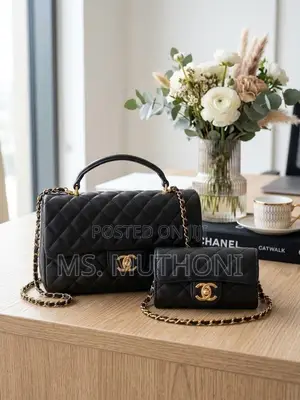 2 in 1 Chanel Coco Handle Bags
