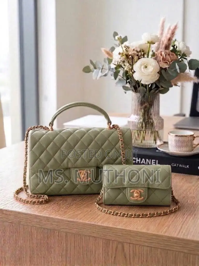 2 in 1 Chanel Coco Handle Bags