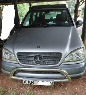 Mercedes-Benz M Class 2006 Silver