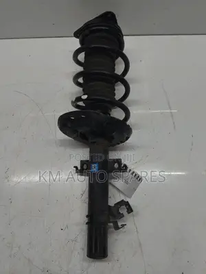 Nissan X-Trail Shock.