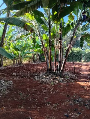 1/4 Acre Residential Plot Kiambu Road