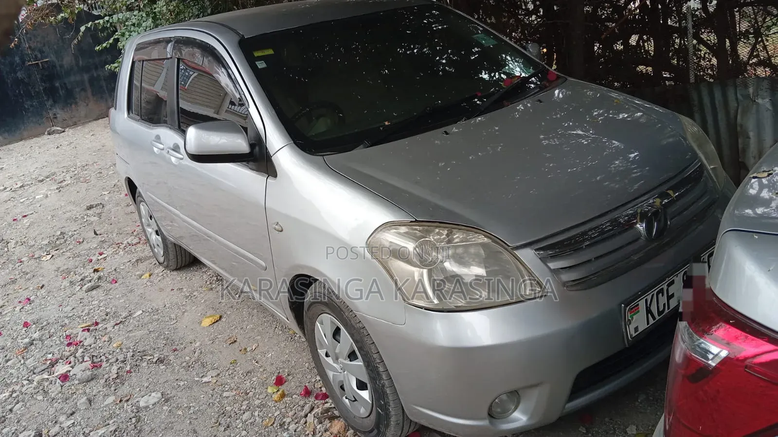 Toyota Raum 2009 Silver