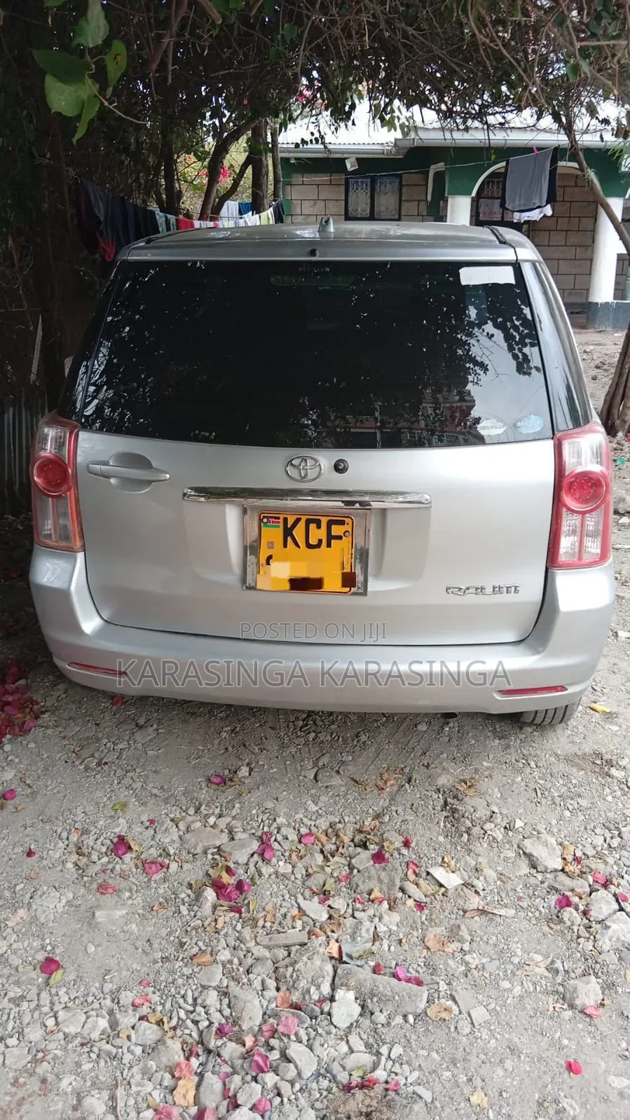 Toyota Raum 2009 Silver