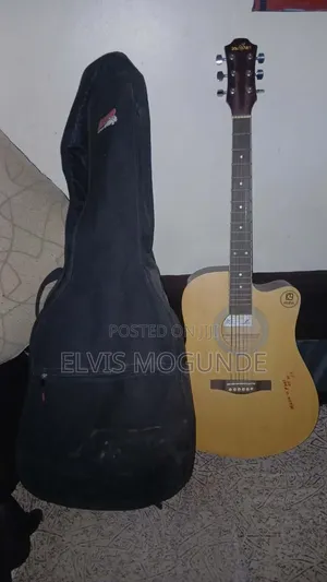 Acoustic Guitar