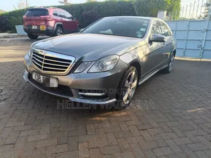 Mercedes-Benz E250 SV Premium 2014 Gray
