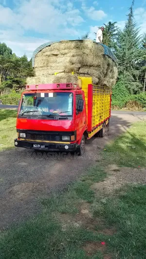 Tata Truck