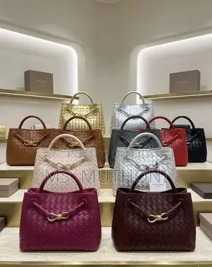 Bottega Veneta Andiamo Boxed Bags