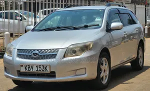 Toyota Corolla Fielder 2007 Silver