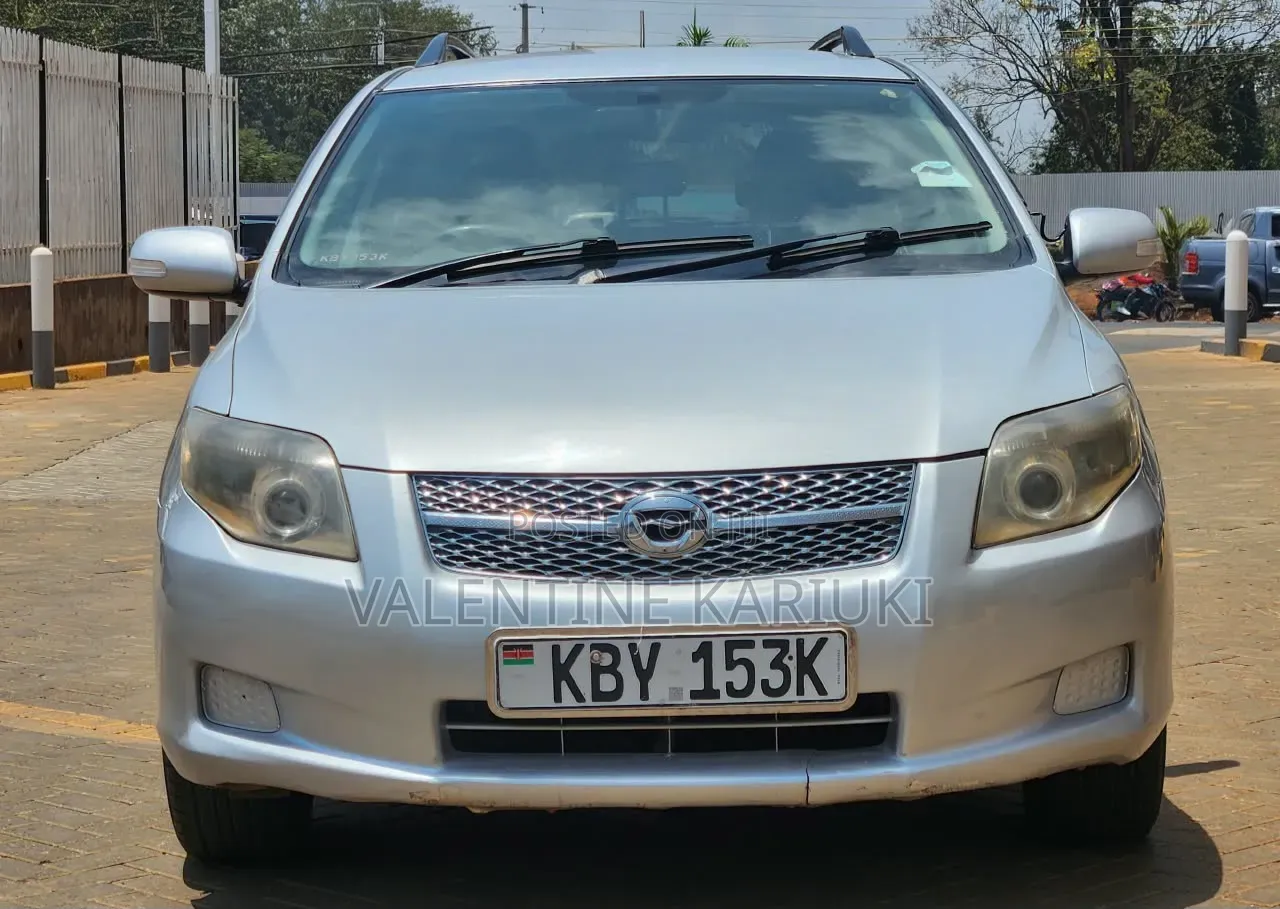 Toyota Corolla Fielder 2007 Silver