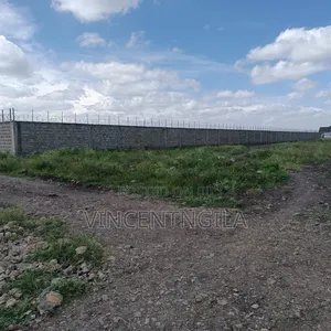 One Acre Parcel on Sale at Lolomgo