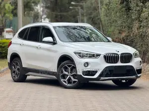 BMW X1 2019 Pearl