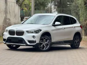 BMW X1 2019 Pearl
