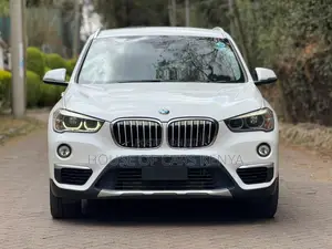 BMW X1 2019 Pearl