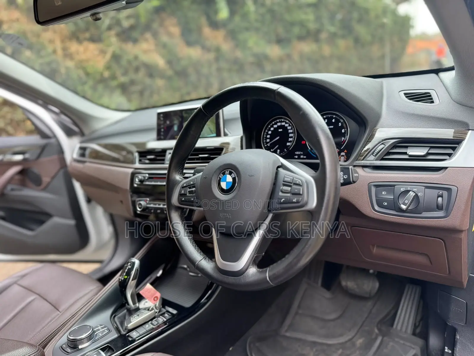 BMW X1 2019 Pearl