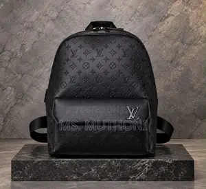 the Louis Vuitton Discovery Backpack PM