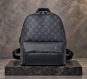 the Louis Vuitton Discovery Backpack PM