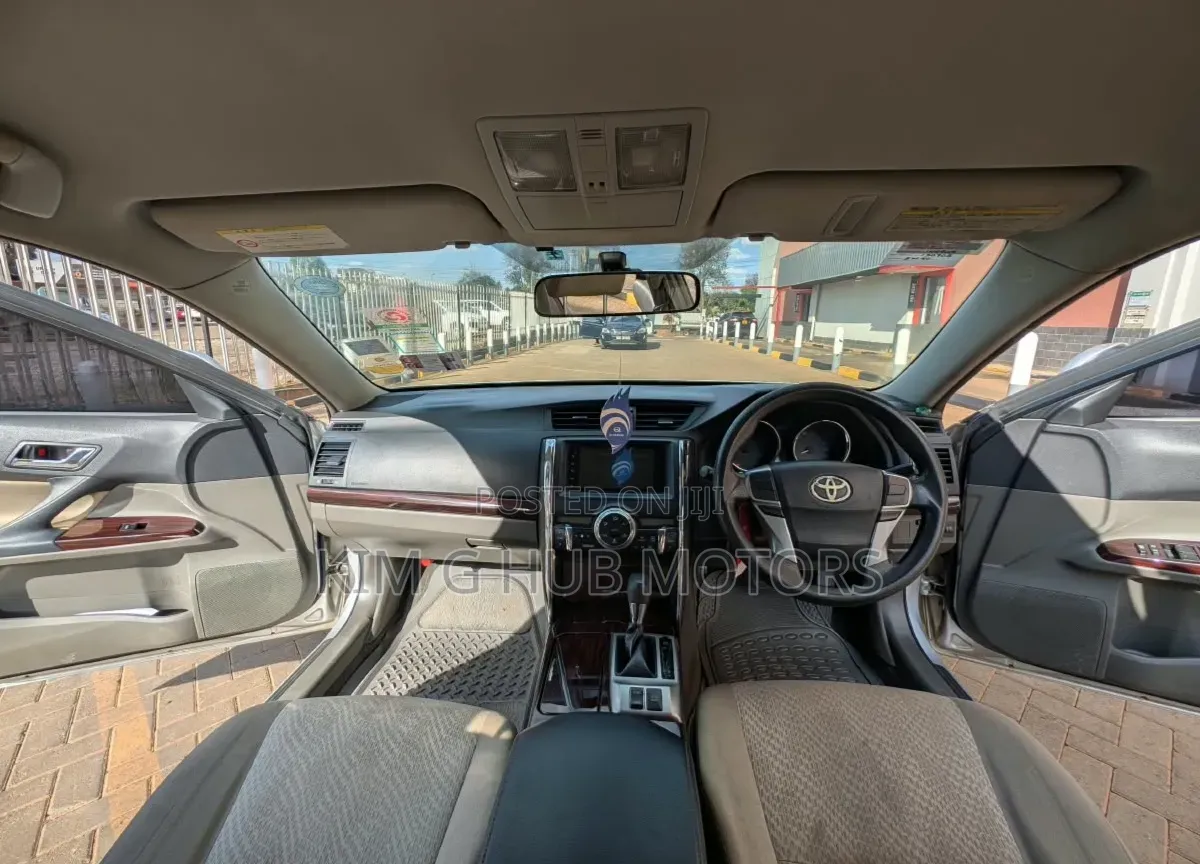 Toyota Mark X 2010 Silver
