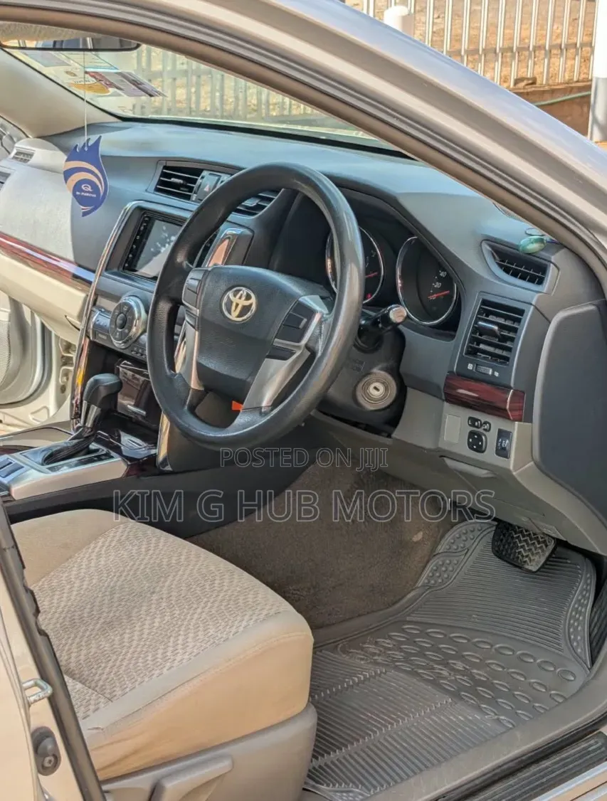 Toyota Mark X 2010 Silver