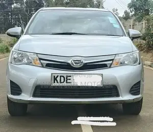 Toyota Axio 2014 Silver