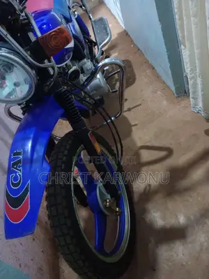 Captain CP150-10 2024 Blue