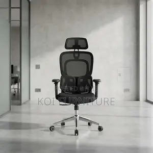Office Chairs; Executive Boss Orthopedic Office Chair With Dual Back