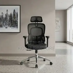 Office Chairs; Executive Boss Orthopedic Office Chair With Dual Back