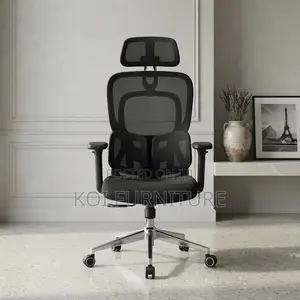 Office Chairs; Executive Boss Orthopedic Office Chair With Dual Back
