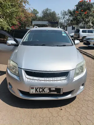 Toyota Corolla Fielder 2010 Silver