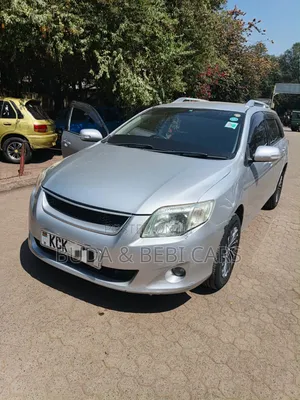 Toyota Corolla Fielder 2010 Silver