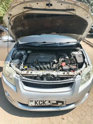 Toyota Corolla Fielder 2010 Silver